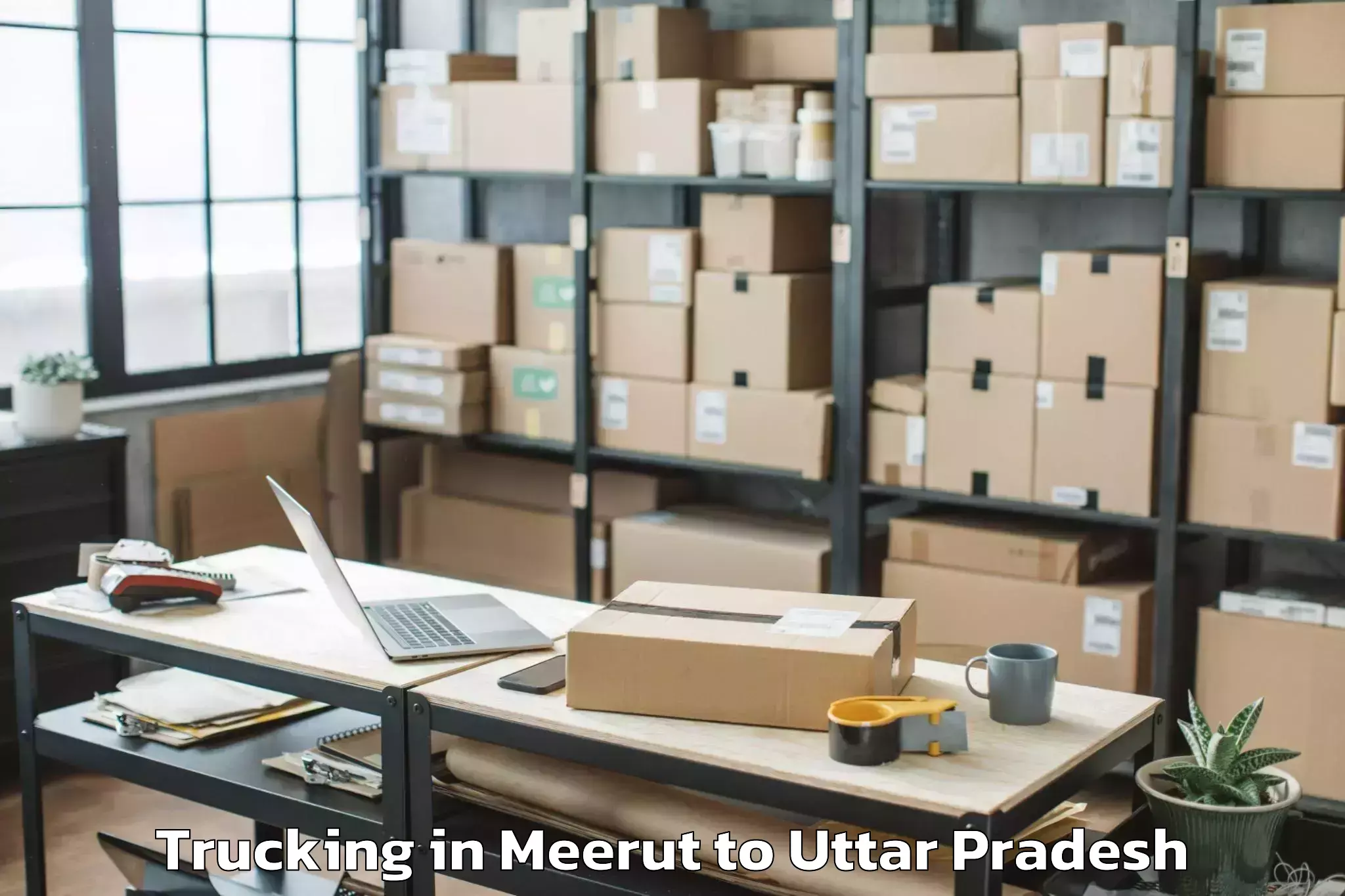 Easy Meerut to Phulpur Trucking Booking